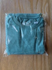 Carhartt Loose Fit Pocket Logo Crew Neck Short Sleeve Men’s T-Shirt Green XL