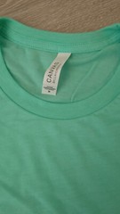 Men’s Canvas Light Weight Slim Tri-Blend T-Shirt Medium – Blue or Mint Green