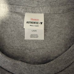 Hanes Authentic Gray T-Shirts 10 Pack Mens Large L Cotton Crew Neck Bulk Tees
