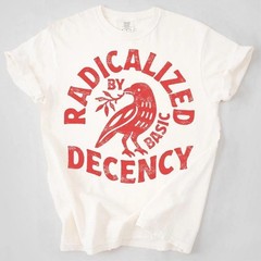 Vintage Radicalized By Basic Decency Unisex T-shirt, Political Protest T-shirt