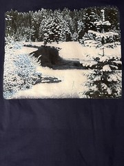 Vintage Graphic Tshirt Winter Scene Single Stitch Snowy Trees Creek 90s Size XL