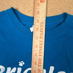 Gildan Heavy Cotton Priceless Pets Rescue Volunteer T-Shirt Blue Size L