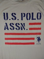 US Polo Assn. Gray T-Shirt (Men Size L Large) USPA Polyester Flag Sports