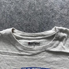 Champion Shirt Mens L Gray Ohio Christian University Graphic Tee Crewneck