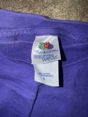 Vintage 90s Y2K Fruit of the Loom Easy to Wear Purple T-Shirt Blank Size Large