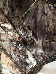 Vintage Y2K Mossy Oak Shirt Green Mossy Oak Obsession Camo Camouflage MEN’S 2XL
