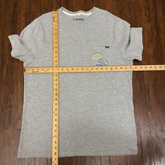 CHUBBIES Taco Tee Mens Sz XL Gray Graphic Print SS Cotton Blend Beach Weekend