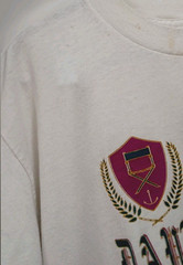 VTG Florida Tourist Tee XL Single Stitch Daytona Beach Crest Graphic USA