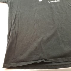 Got Fun? Carnival Cruises Vintage T Shirt Heavy Cotton Men 2XL