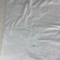 2005 Harley Davidson Crystal River, FL White / Cotton Md T Shirt