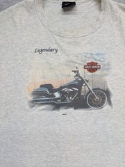 Y2K 2000 Harley Davidson XL Tank Hawaii Embroidered Legendary Big Island