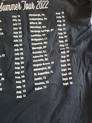 Dispatch Summer Tour 2022 Size Large T-Shirt Deep Green Concert Tour.