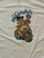 Dragon Ball Z Goku and Bulma Graphic T-Shirt