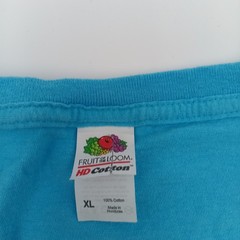 Fruit Of The Loom T Shirt Mens XL Blue Charleston South Carolina Colorful Print