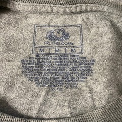 Fruit Of The Loom T Shirt sz M Gray Cotton Blend Normcore Minimalist Everyday