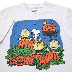 2020 Peanuts Halloween Pumpkin Patch Small Mens White T-Shirt Snoopy Woodstock