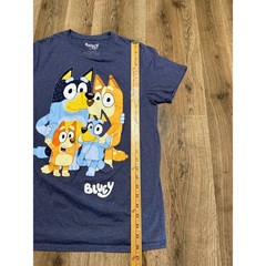 Bluey Family Graphic T-Shirt Mens Medium Blue Heather Short Sleeve Crewneck Tee