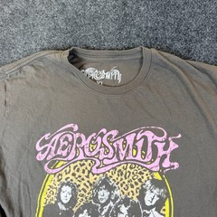 Aerosmith Get Your Wings US Tour ’74 T Shirt Mens XL Gray Graphic Print Cotton