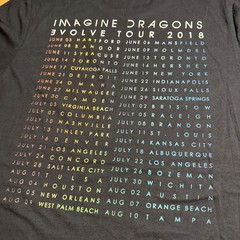 Imagine Dragons Mens L Evolve Tour 2018 Official Concert Merch 2 Sided T Shirt