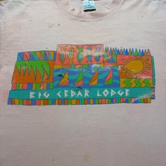 Vintage 90s Big Cedar Lodge Resort Beach Surf Tropical Souvenir T-Shirt – Large