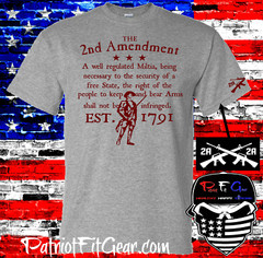 t shirt,The Second Amendment,A Well Regulated Militia,Molon Labe,Guns Rights,2A