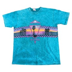 Vintage Oneita Florida T-Shirt Single Stitch 90s Retro USA Cotton Mens Large