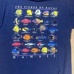 90s Fishes of Kauai Tee – Hawaii (L)