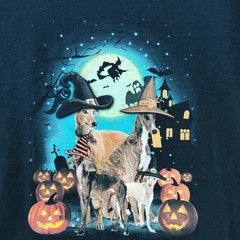 Greyhounds In Witch Hats Pumpkins Halloween Lady Shirt Sz XL But Looks Smaller