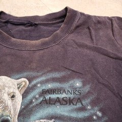 VTG Y2K Polar Bear Fairbanks Alaska Mens L Large? Distressed Faded T Shirt
