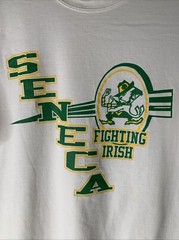 Vintage Seneca Fighting Irish Shirt Mens Sz L High School Football Logo Tee 90s