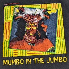 Vtg 1990-91 Grateful Dead “Mumbo in the Jumbo” T-shirt Men’s Large* Single Sitch