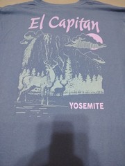 Comfort Colors L Light Weight LGG El Capitan. Graphic T-shirt