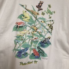 Royce McClure Frog T Shirt Size L Padre Island Tx Long Sleeve White RN90836