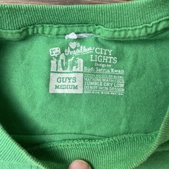 Threadless City Lights Design by Budi Satria Kwan Tshirt Men’s Medium Green USA