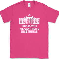Why We Can’t Have Nice Things T-Shirt Funny Anti Government Political Tee