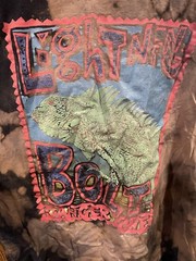 Lightning Bolt T-shirt Mens Large Danger Zone Iguana Neon Graphics Vtg Made USA