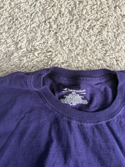 Champion shirt adult extra large 1XL purple short sleeve crewneck casual mens a2