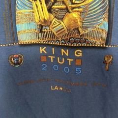 Gildan Mens Blue Tutankhamun And The Golden Age Of The Pharaohs T-Shirt XXL