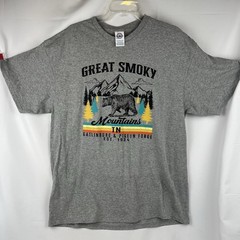 Great Smoky Mountains National Park Gray Tee Multi Neon Color Bear Graphic