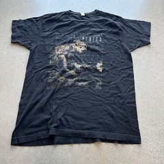 Pixies Band Shirt Mens L Black Doolittle Album Tour 2023 Tultex Indie Rock Tee