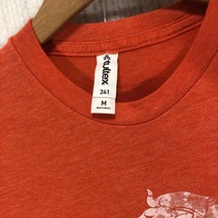 Tultex 241 Mens Orange Lion Rampant Graphic T-Shirt Medium Netherlands Shield