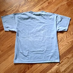 VINTAGE Y2K Roane State Academic Festival Blue T-shirt Size XL