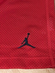 Air Jordan Last Shot Photo Jersey Men L Jumpman Mesh Last-Dance MJ Bulls Sewn