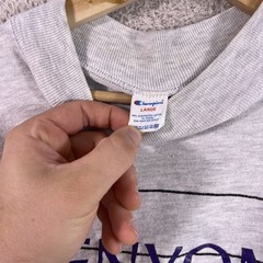 Vintage Kenyon College Champion Shirt Adult Large Gray Long Sleeve 90’s USA