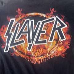 Vintage Slayer T Shirt 90s Green Devil Thrash Metal Slayer The Roxx Large