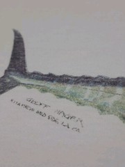 Vintage 90s Wahoo Fish Marlin Artwork Print T Shirt Vtg Fishing Outdoor USA Art