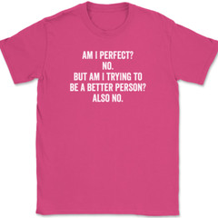 Am I Perfect No T-Shirt Tee Funny Sarcastic Humor Novelty Gift