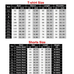 2-Piece Set Mens T Shirts & Shorts Set Outfit Sweatsuit Short Sleeve NEW 2025