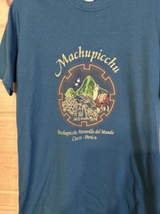 Machu Picchu Peru Graphic T Shirt Mens M Teal Llama Inca Ruins Cusco 100% Cotton