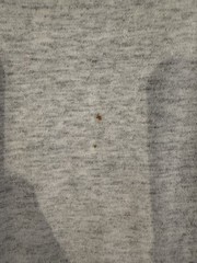 Vintage 90’s Grey Wolf Nature Animal Graphic T-shirt XL Made In USA